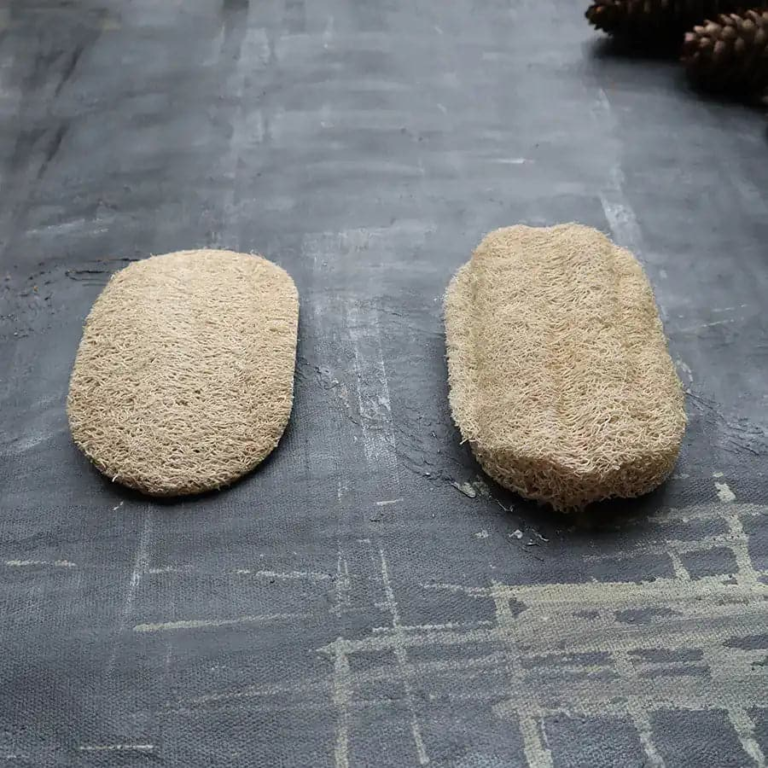 Dishwasher Sponges Guide for Cleaner and More Sustainable Kitchen Care