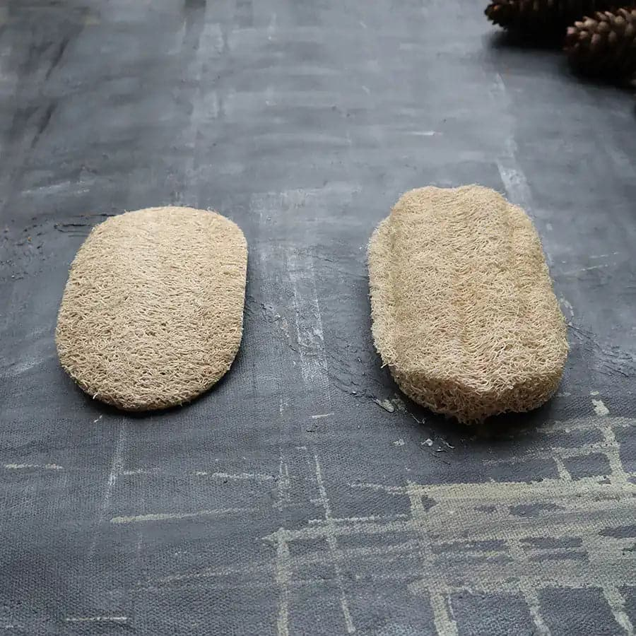 Dishwasher Sponges Guide for Cleaner and More Sustainable Kitchen Care